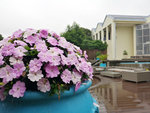 IMG_20190609_074503