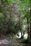 DSCF0360