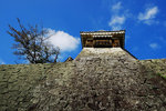 DSCF0417