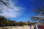 DSCF0511