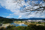 DSCF4590