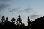 DSCF1382