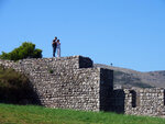 P1288082