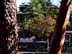 P1399802