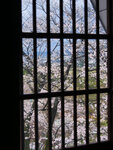 P1399317