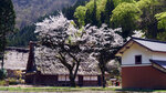 P1399491