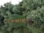 P1444367
