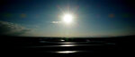 DP0Q4459