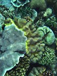 IMG_1506