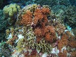 UNDERWATER 1