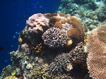 UNDERWATER 10