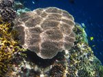 UNDERWATER 11