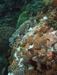 UNDERWATER 2