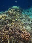 UNDERWATER 7