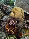 UNDERWATER 8