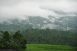 JATILUWIH RICE TERRACE 12