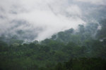 JATILUWIH RICE TERRACE 13