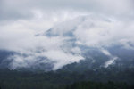 JATILUWIH RICE TERRACE 14