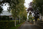 DSC01225