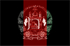 Flag_of_Afghanistan_(2013–2021)