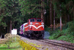 IMGP1615