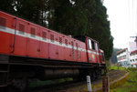 IMGP1620