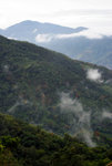 IMGP1931