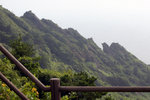 DSC07978