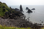 DSC07981