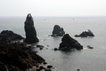 DSC07982