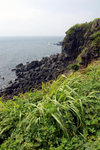 DSC07985