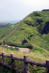 DSC07988