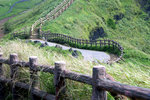 DSC07989