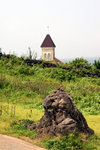 DSC07990