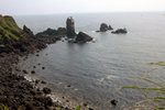DSC07992