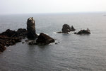 DSC07993