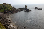 DSC07998