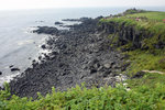 DSC08004