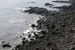 DSC08005