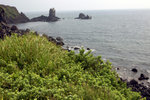 DSC08013