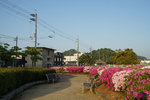 DSC00152