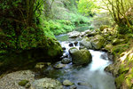 DSCF9593