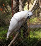DSC09701