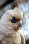 DSC09740