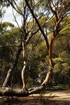 DSC09775