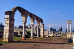 P1266133