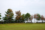 DSC00157