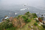 DSC00165