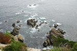 DSC00174