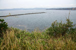 DSC00184